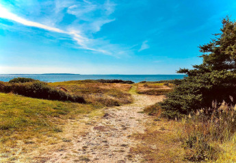 Chemin herbeux menant à la mer près de la location 4 étoiles à Løgstør, Danemark, sous un ciel bleu.