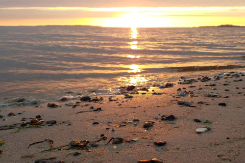 Tramonto sul mare dalla spiaggia della casa vacanze 4 stelle a Løgstør, Danimarca, con sassi e alghe.