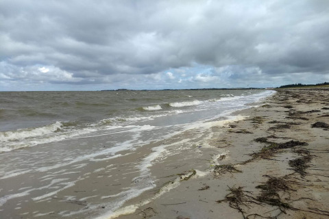Bewolkt strand aan Løgstør, Denemarken, met golven en zeewier nabij 4-sterren vakantieverblijf.