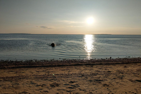 Tramonto sul mare visto dalla spiaggia presso casa vacanza 4 stelle a Løgstør, Danimarca, acqua calma.