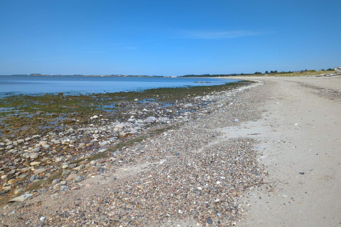 Spiaggia rocciosa e sabbiosa vicino a 'Casa vacanze 4 stelle a Løgstør', Danimarca, cielo sereno.