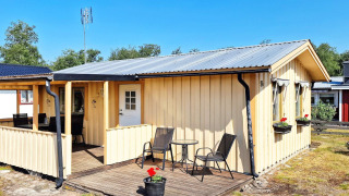 Gele houten vakantiewoning voor 5 personen in Skummeslövsstrand met terras en bloembakken.