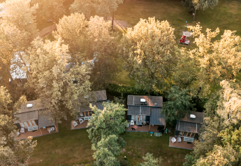 Vue aérienne de cabanes nichées parmi de grands arbres dans un environnement verdoyant et paisible au coucher du soleil.