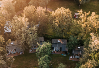 Aerial view of cozy cabins nestled among tall trees in a peaceful green area during golden hour sunlight.