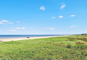Strandansicht bei Skummeslövsstrand, Schweden mit grüner Wiese, Sandstrand und blauem Himmel im Sommer.