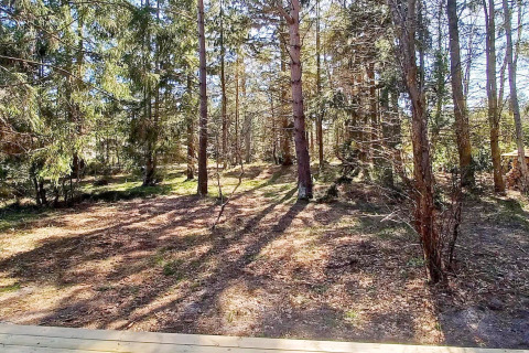 Udsigt over en solbeskinnet skov fra en træterrasse ved en 4-stjernet feriebolig i Höllviken, Sverige.
