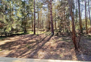 Udsigt over en solbeskinnet skov fra en træterrasse ved en 4-stjernet feriebolig i Höllviken, Sverige.