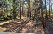 Sunlit forest view from a wooden patio at a 4 star holiday home in Höllviken, Sweden, peaceful atmosphere.