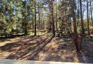Uitzicht op een zonnig bos vanaf het houten terras bij een 4-sterren vakantiewoning in Höllviken, Zweden.
