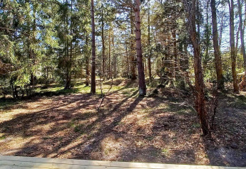 Sunlit forest view from a wooden patio at a 4 star holiday home in Höllviken, Sweden, peaceful atmosphere.