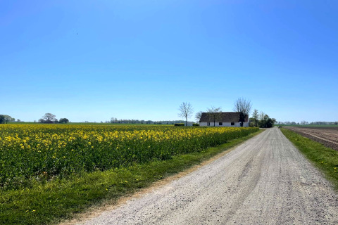 En hytte ved en landevej omgivet af marker og blomster under en klar blå himmel i Höllviken, Sverige.