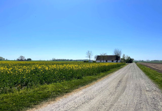 En hytte ved en landevej omgivet af marker og blomster under en klar blå himmel i Höllviken, Sverige.