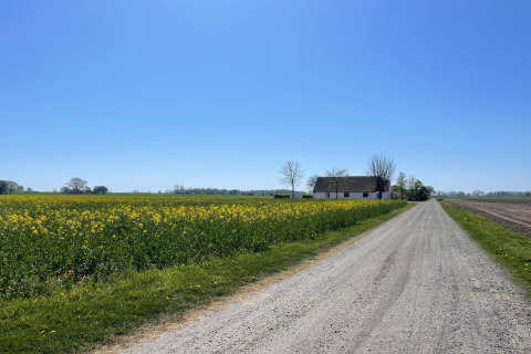 Vakantiehuisje aan een landweg met bloemenvelden en blauwe lucht nabij Höllviken, Zweden.