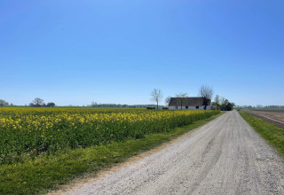 Cabaña junto a un camino rural con campos y flores amarillas bajo un cielo azul en Höllviken, Suecia.