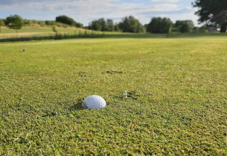 Balle de golf sur l’herbe près d’un trou au 4 étoiles maison de vacances à Höllviken, Suède.