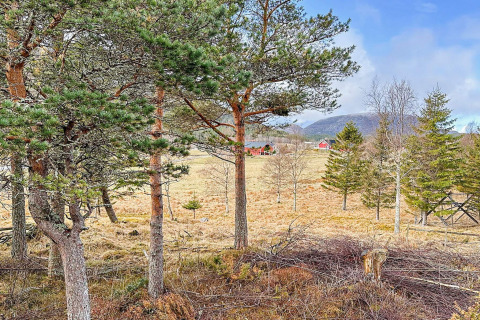 Uitzicht vanuit een yurt in Lysøysundet, Zweden, met bomen, weilanden, bergen en rode huizen op de achtergrond.