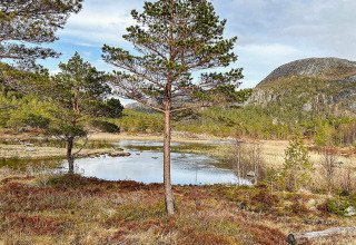 Vista suggestiva di lago e montagne presso una yurta vacanze a Lysøysundet, Svezia, con pini attorno.