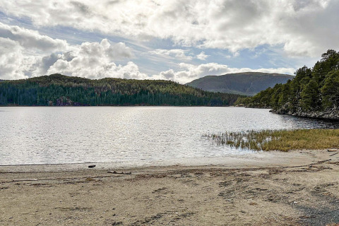 Uitzicht op meer met zandstrand, bomen en heuvels bij vierpersoonsyurt in Lysøysundet, Zweden.
