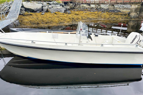 Barca a motore bianca ormeggiata a un piccolo molo con riva rocciosa e alghe a Lysøysundet, Svezia.