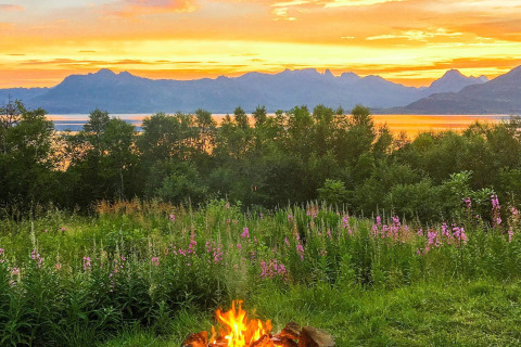 Kampvuur met bloemen, bomen en bergen bij zonsondergang bij 5-sterren vakantiehuis in Stokmarknes, Zweden.