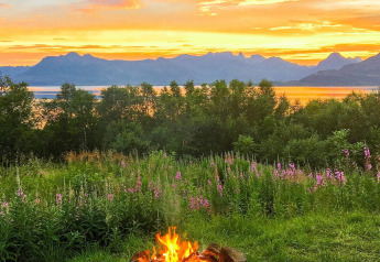 Feu de camp devant des fleurs sauvages et montagnes au coucher du soleil, gîte 5 étoiles à Stokmarknes, Suède.