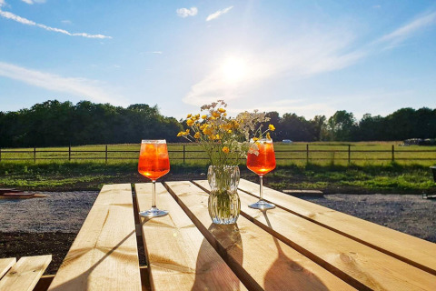 Twee drankjes en een vaas met wilde bloemen op een houten tafel bij zonsondergang bij 4-sterren vakantiehuis KARLSKRONA.