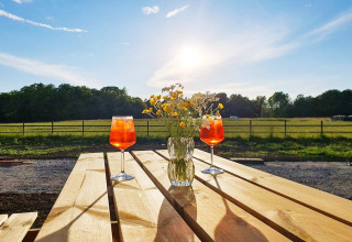 Deux verres et un vase de fleurs sauvages sur une table en bois au coucher du soleil à la maison 4 étoiles KARLSKRONA.
