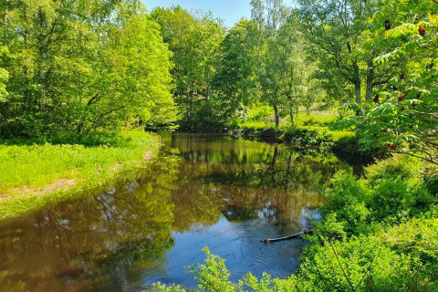 Vredige rivier omringd door groen bij het 4-sterren vakantiehuis in Karlskrona, Zweden, op een zonnige dag.