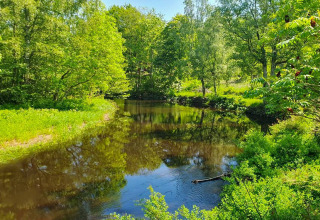 Río tranquilo rodeado de vegetación cerca del alojamiento 4 estrellas en Karlskrona, Suecia, en día soleado.