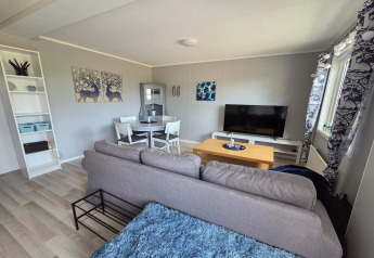 Lichte en gezellige woonkamer in 4-persoons vakantiehuis in Nösund, Zweden, met bank, tv en decoratie.