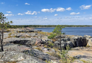 Rivage rocheux avec quelques arbres et eau calme sous ciel bleu, près de VÄDDÖ en Suède.