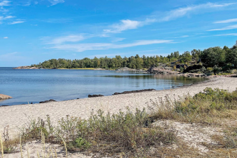 Zandstrand langs de kust van Väddö, Zweden met helder water, groene bomen en een blauwe lucht.
