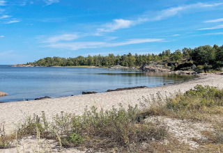 Zandstrand langs de kust van Väddö, Zweden met helder water, groene bomen en een blauwe lucht.