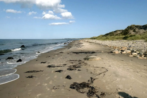 Peaceful sandy shore with rocks and seaweed on Læsø, Denmark, viewed from 5-star holiday home on sunny day.