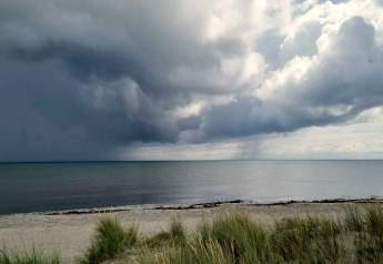 Udsigt over stranden ved Læsø, Danmark, med dramatiske skyer, havet og strandgræs i forgrunden.