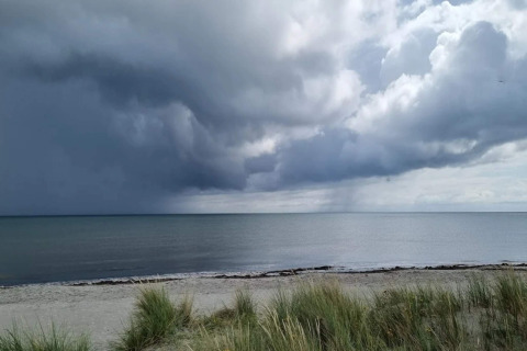 Vue sur la plage de Læsø, au Danemark, avec nuages dramatiques, mer calme et herbe des dunes au premier plan.