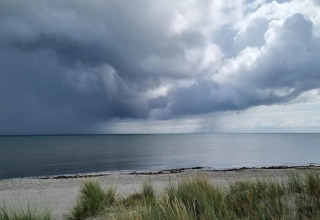 Udsigt over stranden ved Læsø, Danmark, med dramatiske skyer, havet og strandgræs i forgrunden.
