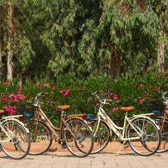 Bike rental - Camping Laguna Blu - Villatent - Alghero, Sardinia, Italy