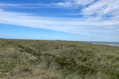 Udsigt over klitter og hav ved lodgen '5 star holiday home in Læsø' under en blå himmel i Danmark.