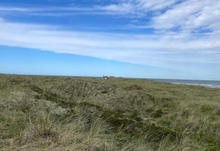 Aussicht auf Dünen und Meer am '5 star holiday home in Læsø' unter blauem Himmel in Dänemark.