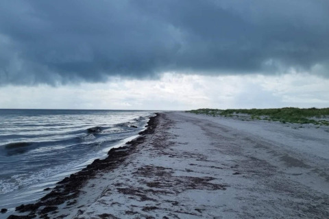 Playa desierta en Læsø, Dinamarca, con nubes oscuras, olas suaves, orilla arenosa y dunas verdes.