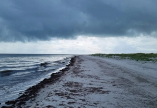 Playa desierta en Læsø, Dinamarca, con nubes oscuras, olas suaves, orilla arenosa y dunas verdes.