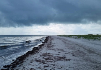 Leere Strandlandschaft auf Læsø, Dänemark, mit dunklen Wolken, sanften Wellen und grünem Ufer.