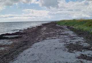 Spiaggia nei pressi della casa vacanza 5 stelle a Læsø, Danimarca, tra mare, erba e cielo nuvoloso.