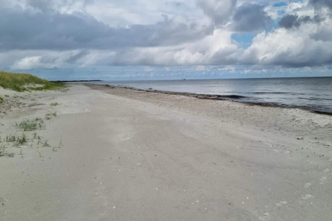 Zandstrand aan 5 star holiday home in Læsø, Denemarken, met uitzicht op zee en bewolkte lucht.