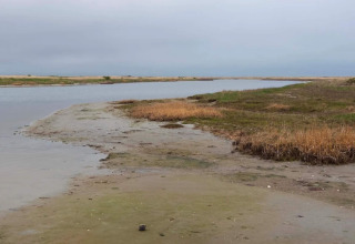 Rivage paisible avec eau peu profonde et herbes proches de Læsø, Danemark, sous un ciel couvert.
