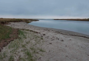 Vista tranquilla sull'estuario vicino alla spiaggia e casa vacanze 5 stelle a Læsø, Danimarca, sotto cielo nuvoloso.