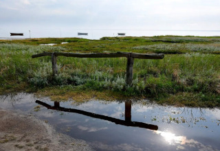 Holzzaun mit Spiegelbild in einer Pfütze, grüne Wiese und Boote am Wasser bei Læsø, Dänemark.