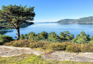 Vista de un lago tranquilo y colinas verdes desde una casa de vacaciones en Hjelmeland rodeada de árboles.