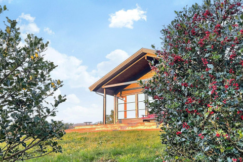 Casa vacanze in legno a Hjelmeland circondata da arbusti verdi con bacche rosse e cielo azzurro.